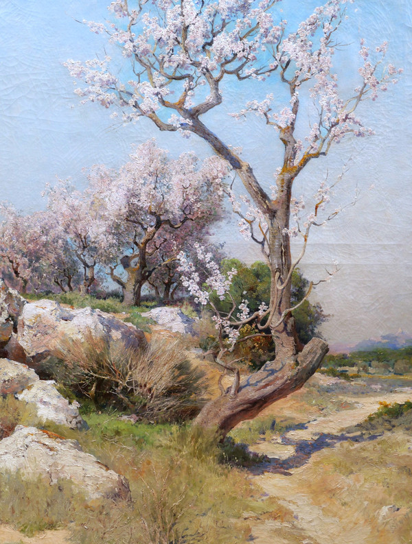 Théophile Henri DÉCANIS, Amandiers en fleurs, Provence