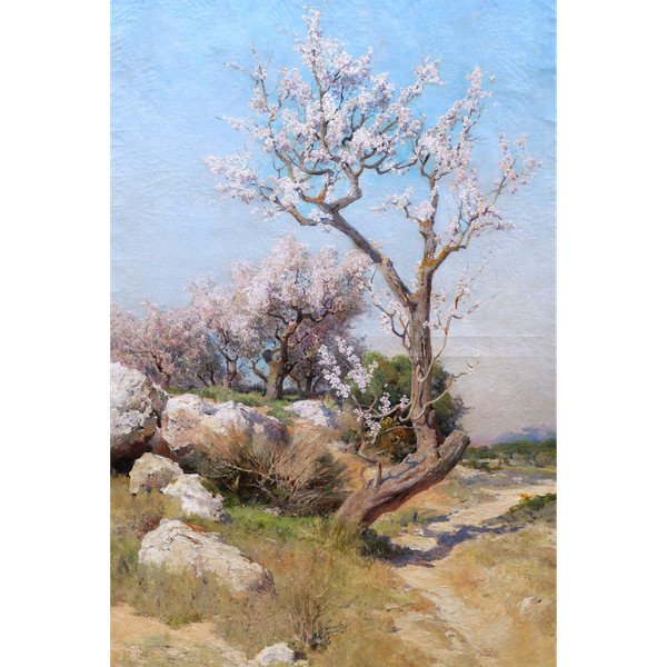 Théophile Henri DÉCANIS, Amandiers en fleurs, Provence