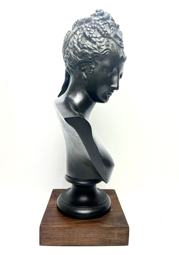 Bronze Bust Of Diane De Poitiers, After J. Goujon