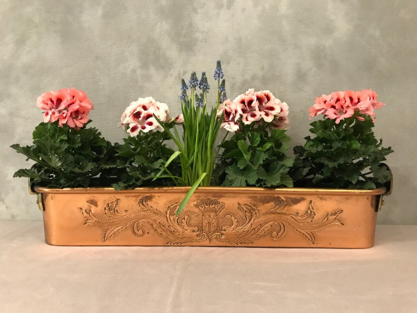Hübsche Fischdose , Blumenkasten aus Kupfer aus dem späten 18.