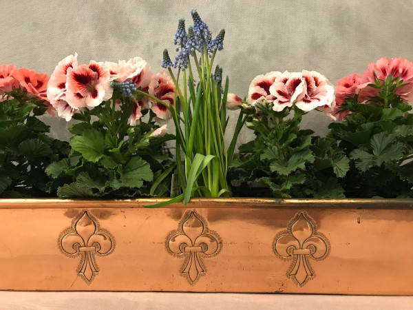 Hübsche Fischdose , Blumenkasten aus Kupfer aus dem späten 18.