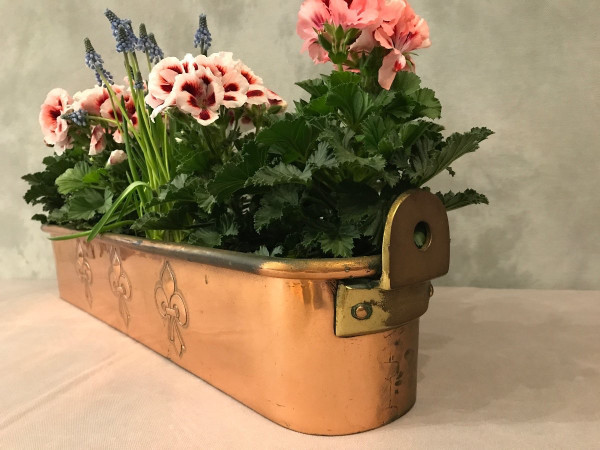 Hübsche Fischdose , Blumenkasten aus Kupfer aus dem späten 18.