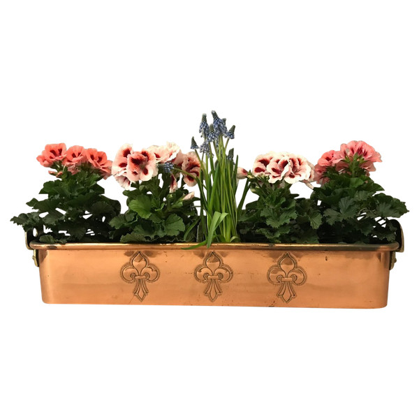 Hübsche Fischdose , Blumenkasten aus Kupfer aus dem späten 18.