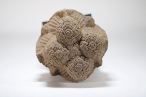Testa di Brahma in arenaria, stile Khmer.