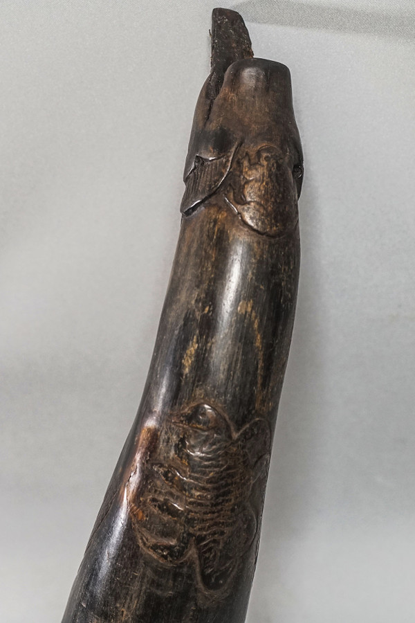 CORNE DE RITUEL BOUDHISTE, Tibet Thungra 