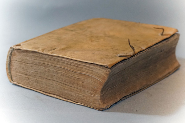 De FEBRIBUS Libri IV. Auctore DANIELE SENNERTO - Daniel Sennert - Édition 1633