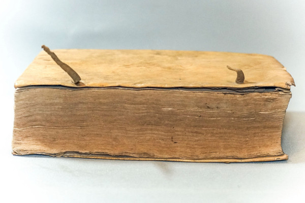 De FEBRIBUS Libri IV. Auctore DANIELE SENNERTO - Daniel Sennert - Édition 1633