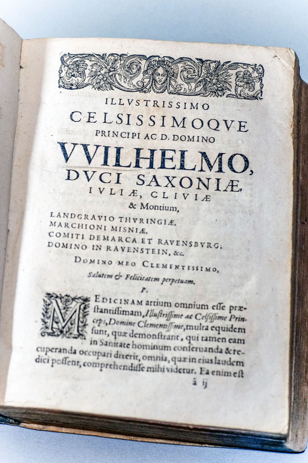 De FEBRIBUS Libri IV. Auctore DANIELE SENNERTO - Daniel Sennert - Édition 1633