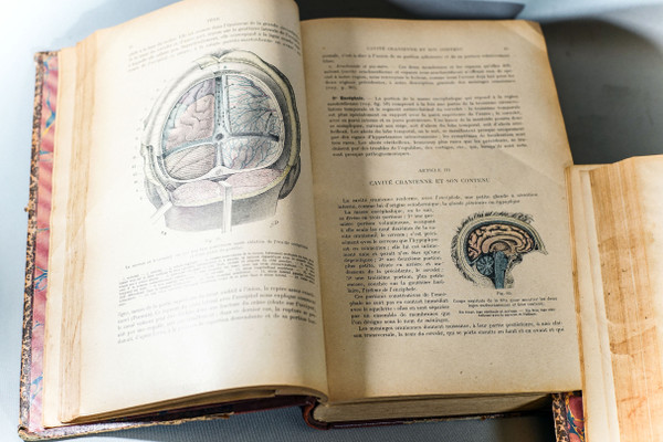 ABHANDLUNG ÜBER TOPOGRAPHISCHE ANATOMIE. L.TESTUT & O. JACOB, 2 Bände. 1477 Illustrationen
