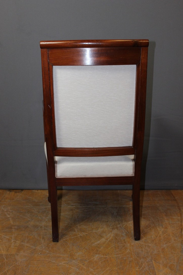 Pair Of Directoire Period Armchairs In Mahogany And Bronze XIX