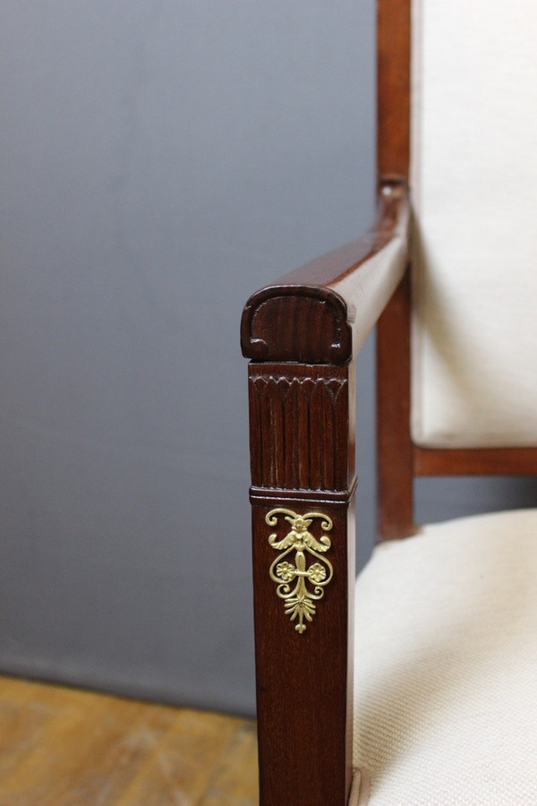 Pair Of Directoire Period Armchairs In Mahogany And Bronze XIX