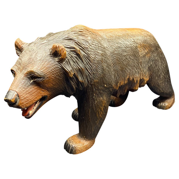 ORSO DELLA FORESTA NERA 1900
