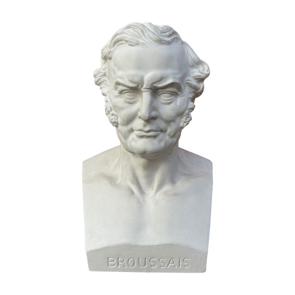  Broussais, François Joseph Victor (1772-1838) Medico - Busto da biblioteca in gesso del XIX secolo