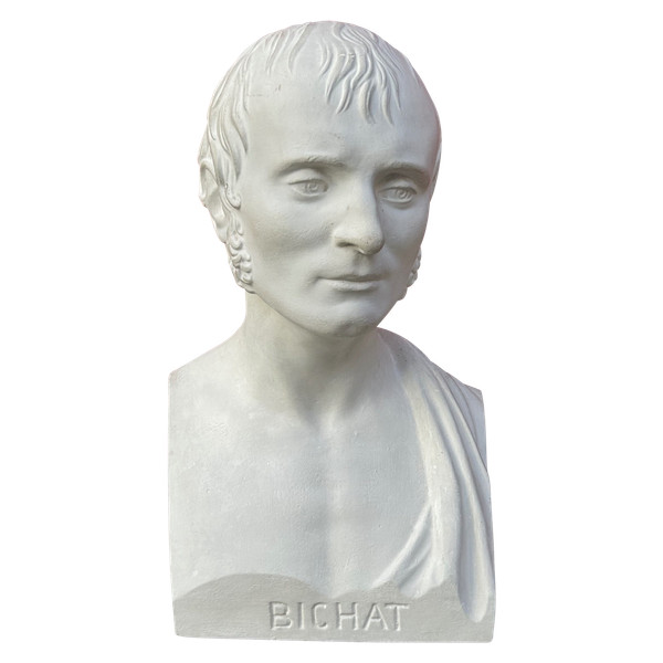 Xavier Bichat ( 1771-1802 ) Physician - Library Bust 19th C Plaster N°2