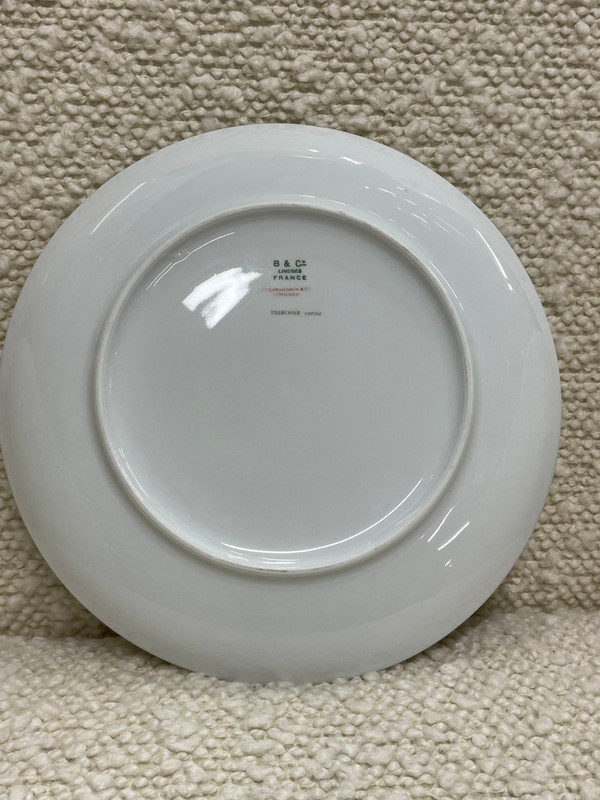 Bernardaud - Fish Service For 12 People in Limoges porcelain