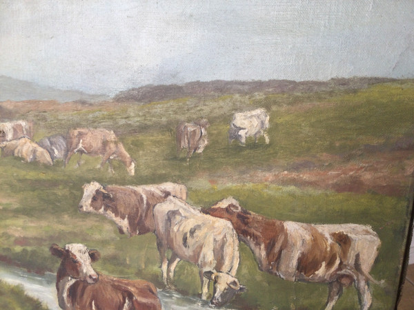 Troupeau de vaches 