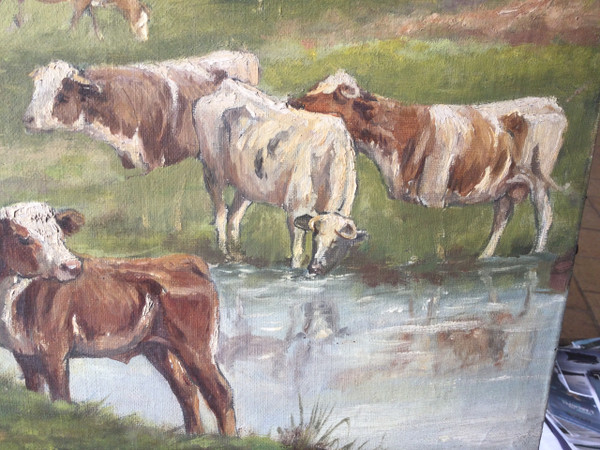 Troupeau de vaches 