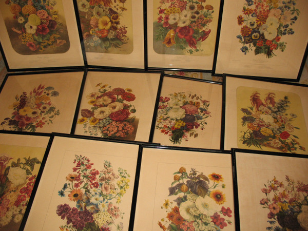 Planches lithographiées Album Vilmorin bouquets de fleurs peintes par Elisa Champin 12 planches