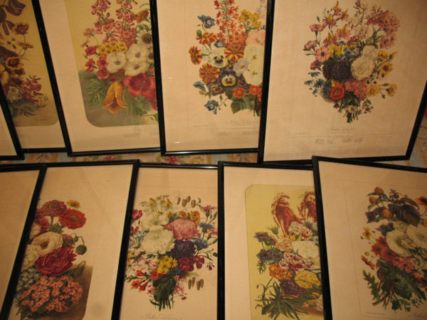 Planches lithographiées Album Vilmorin bouquets de fleurs peintes par Elisa Champin 12 planches