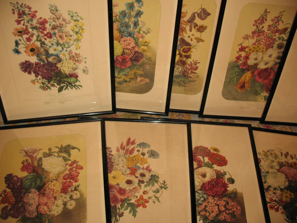 Planches lithographiées Album Vilmorin bouquets de fleurs peintes par Elisa Champin 12 planches