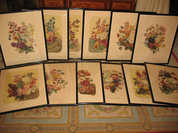 Planches lithographiées Album Vilmorin bouquets de fleurs peintes par Elisa Champin 12 planches