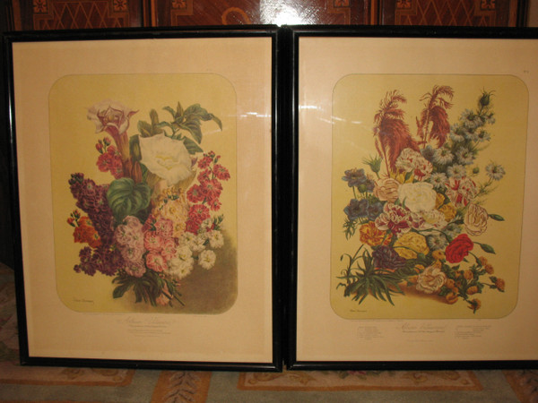 Planches lithographiées Album Vilmorin bouquets de fleurs peintes par Elisa Champin 12 planches