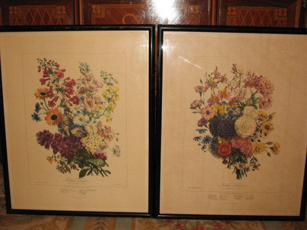 Planches lithographiées Album Vilmorin bouquets de fleurs peintes par Elisa Champin 12 planches