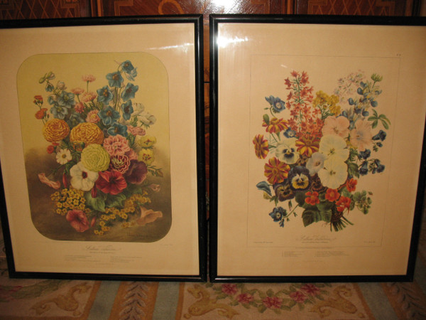 Planches lithographiées Album Vilmorin bouquets de fleurs peintes par Elisa Champin 12 planches