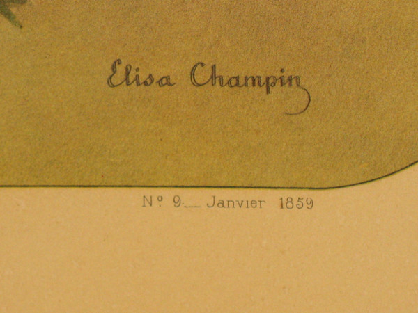 Planches lithographiées Album Vilmorin bouquets de fleurs peintes par Elisa Champin 12 planches