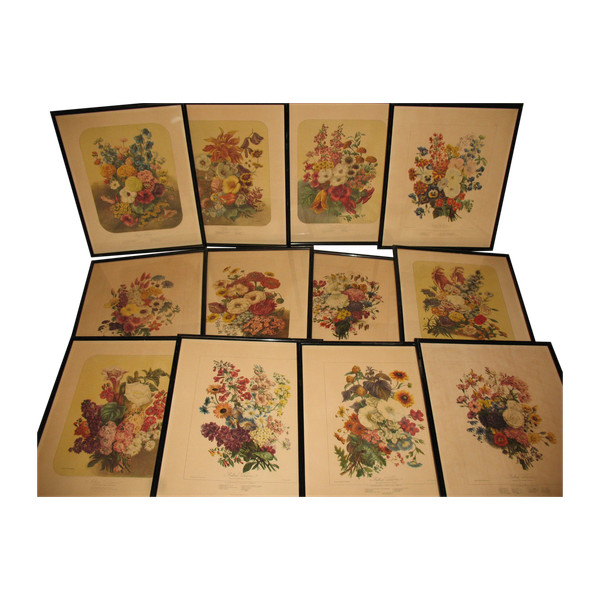 Lithographed plates Album Vilmorin bouquets of flowers painted by Elisa Champin 12 plates