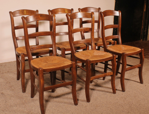 Set di 6 sedie in rovere con moquette