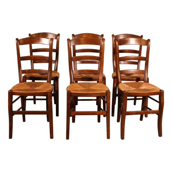 Set di 6 sedie in rovere con moquette