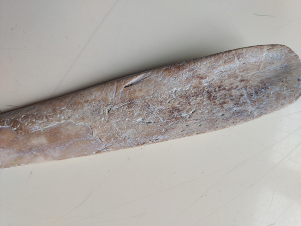 DIAGUITA CHILE 850/1450 A.D.