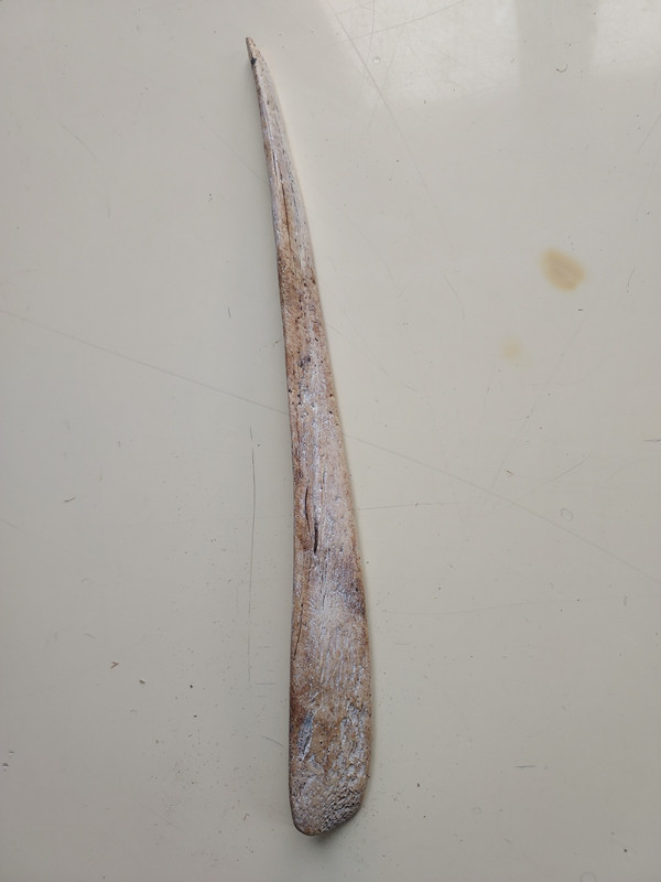 DIAGUITA CHILE 850/1450 A.D.