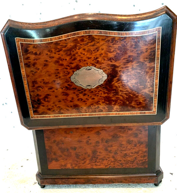 Cigar box in burr cedar and black wood XIX century