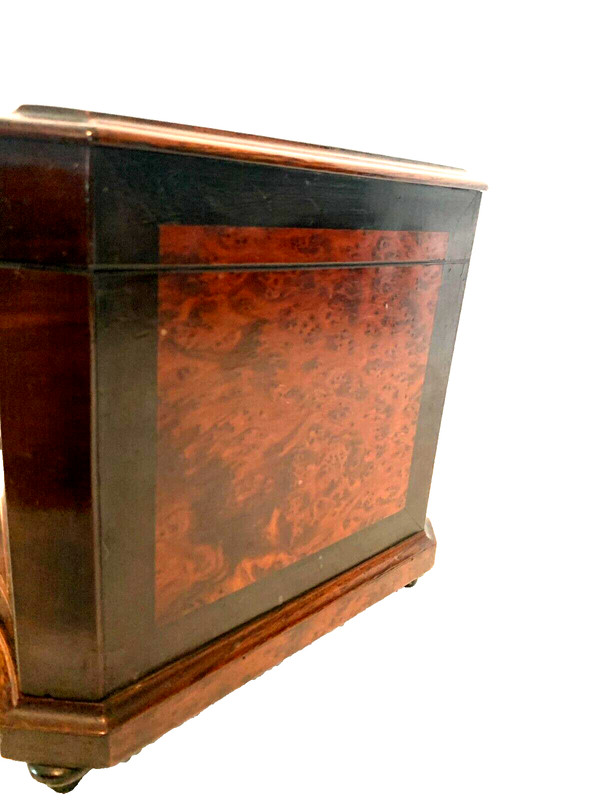 Cigar box in burr cedar and black wood XIX century