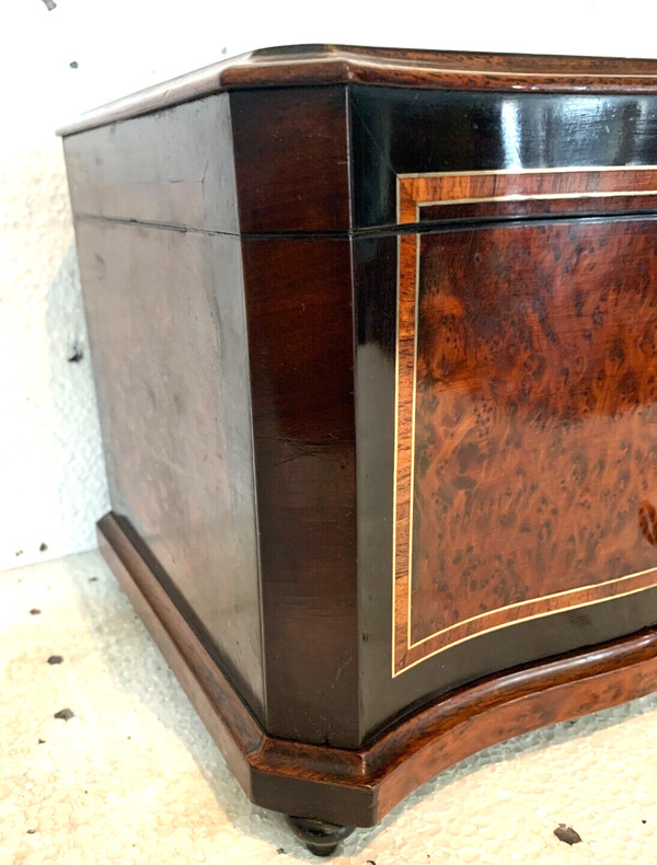 Cigar box in burr cedar and black wood XIX century