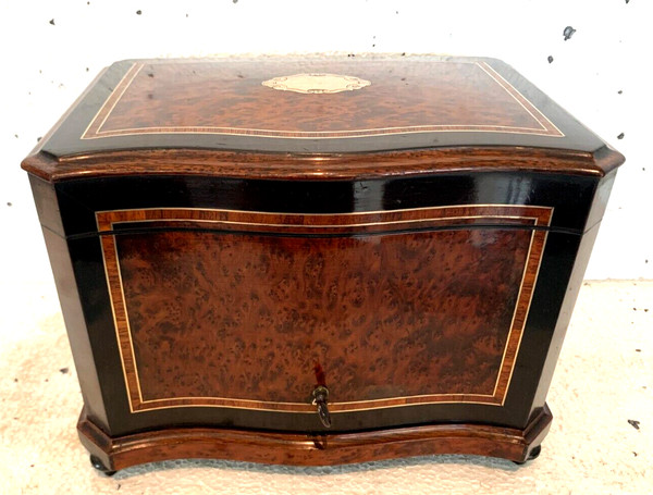 Cigar box in burr cedar and black wood XIX century
