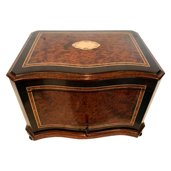 Cigar box in burr cedar and black wood XIX century