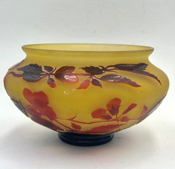 D’ Argental, Paul Nicolas Coupe à Décor Des Fleurs 