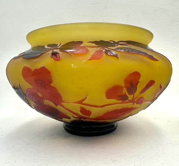 D’ Argental, Paul Nicolas Coupe à Décor Des Fleurs 