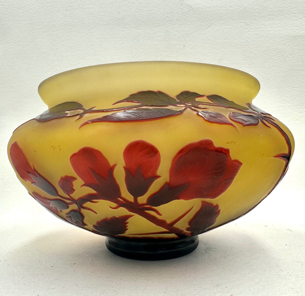 D’ Argental, Paul Nicolas Coupe à Décor Des Fleurs 