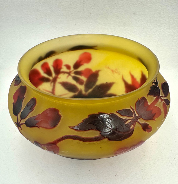 D’ Argental, Paul Nicolas Coupe à Décor Des Fleurs 