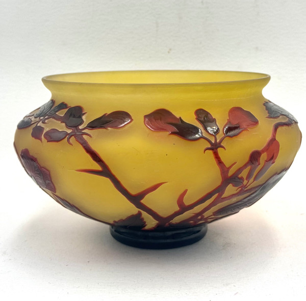 D’ Argental, Paul Nicolas Coupe à Décor Des Fleurs 