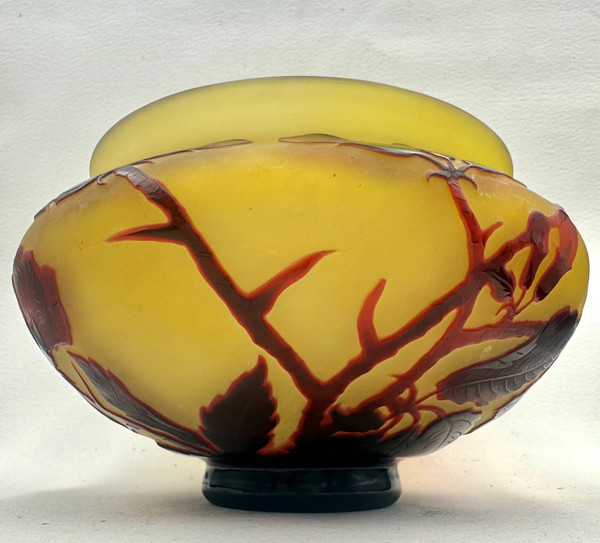 D’ Argental, Paul Nicolas Coupe à Décor Des Fleurs 