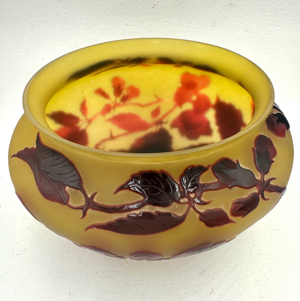 D’ Argental, Paul Nicolas Coupe à Décor Des Fleurs 