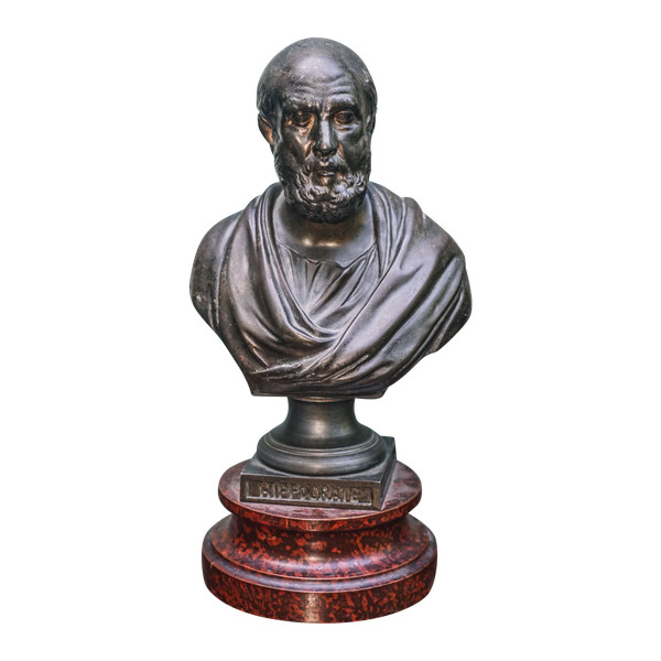 IPPOCRATE busto regolato su marmo 33 cm