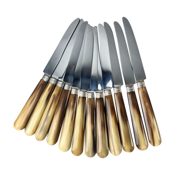 Twelve dessert or cheese knives, horn handle