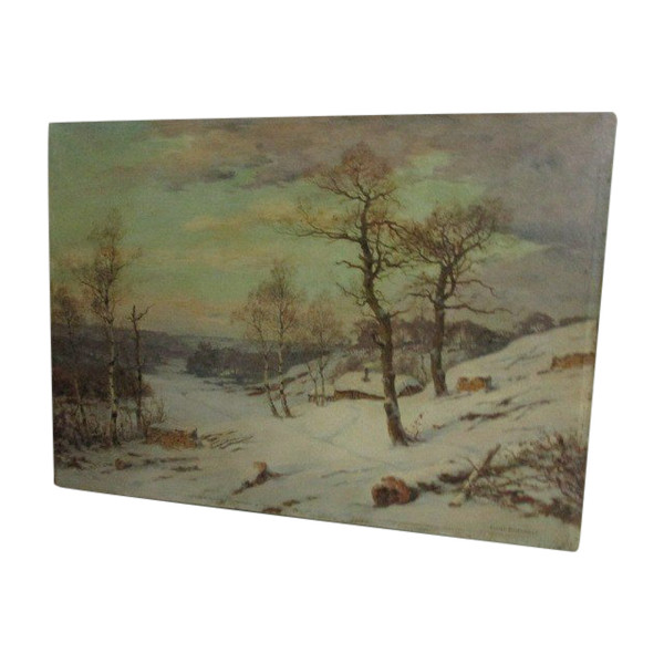 Snowy landscape in forest