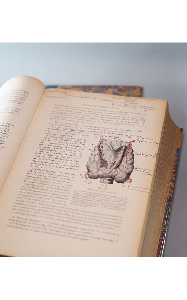 L. TESTUT, TRAITÉ D'ANATOMIE HUMAINE, 4 tomes, 1911 - 1912